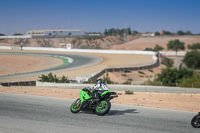 Lower Group Green Bikes